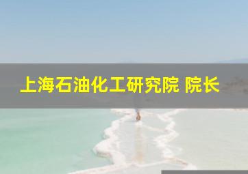 上海石油化工研究院 院长